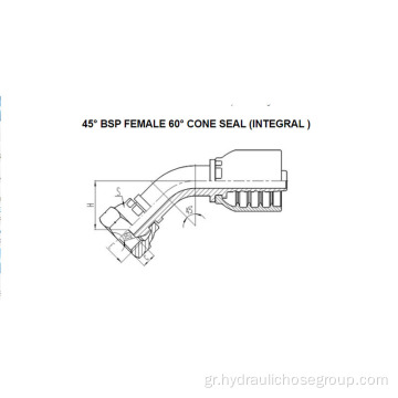 Integral 45 ° BSP Θηλυκό 60 ° Cone 22641-F
